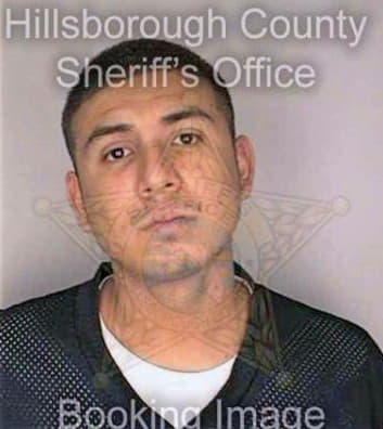 Sanchez Armando - Hillsborough County, FL 