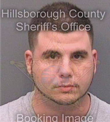 Gonzalez Daniel - Hillsborough County, FL 