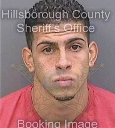 Lopez Jorge - Hillsborough County, FL 