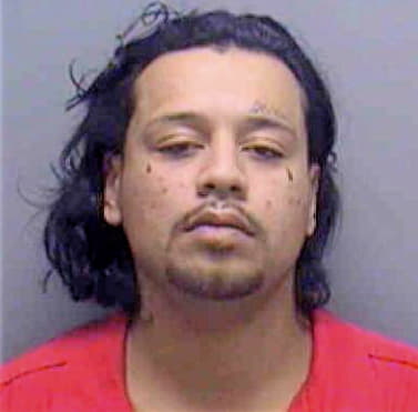 Sanchez Juan - Lee County, FL 