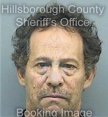 Gonzalez Felix - Hillsborough County, FL 