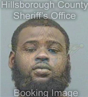 Burns Travoris - Hillsborough County, FL 