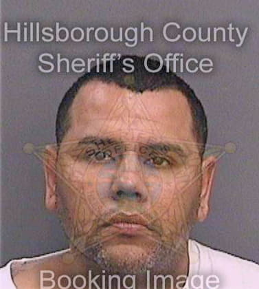 Renda David - Hillsborough County, FL 