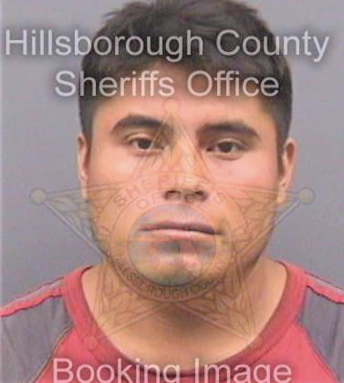 Delacruzgomez Manuel - Hillsborough County, FL 