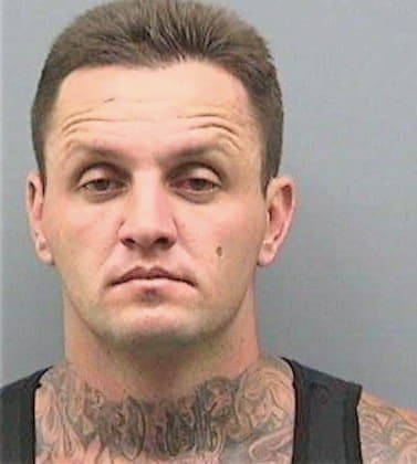 Mclaughlin Shane - Hillsborough County, FL 