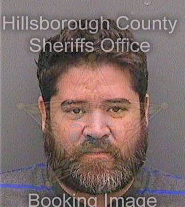 Pineda Wladimir - Hillsborough County, FL 