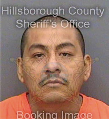 Santibanez Alejandro - Hillsborough County, FL 