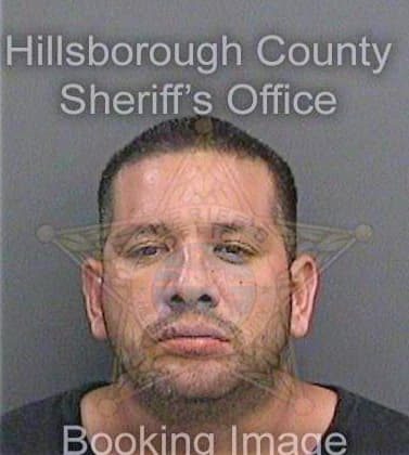 Herrera Jorge - Hillsborough County, FL 