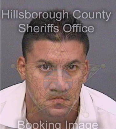 Figueroagonzalez Alex - Hillsborough County, FL 