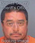 Garcia Albert - Pinellas County, FL 