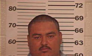 Mendez Gustavo - Hidalgo County, TX 