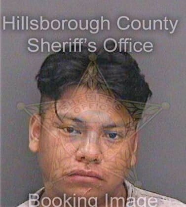 Perez-Perez Pedro - Hillsborough County, FL 