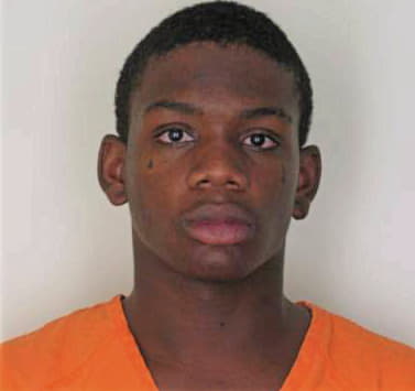 Johnson Andre - Hillsborough County, FL 