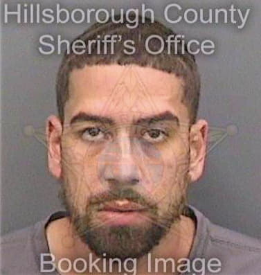 Ortiz Neftali - Hillsborough County, FL 