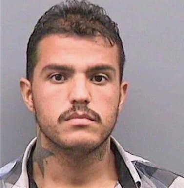 Lopezgonzalez Emilio - Hillsborough County, FL 