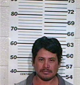 Hernandez Odilon - Hidalgo County, TX 