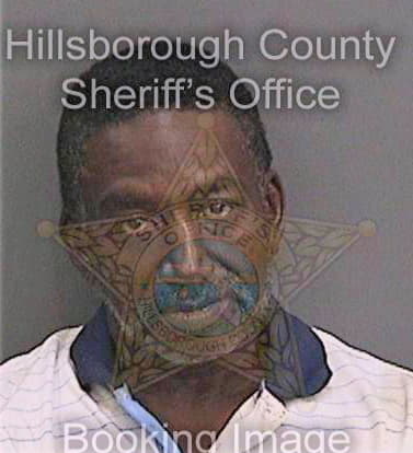 Lang Anthony - Hillsborough County, FL 