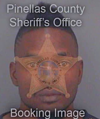 Simmons John - Pinellas County, FL 