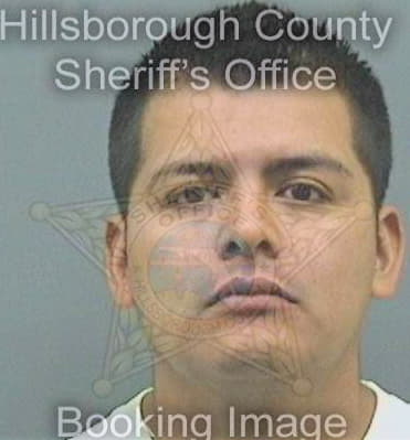 Figueroahernandez Oscar - Hillsborough County, FL 