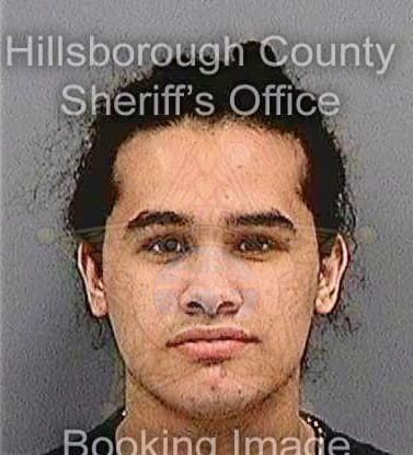 Sierra Luis - Hillsborough County, FL 