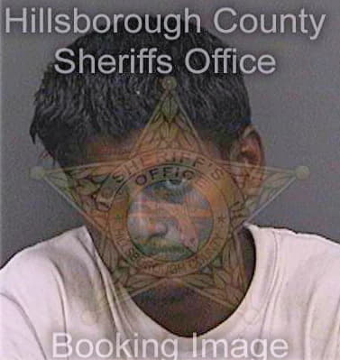 Persaud Shankar - Hillsborough County, FL 