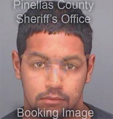 Noll Matthew - Pinellas County, FL 