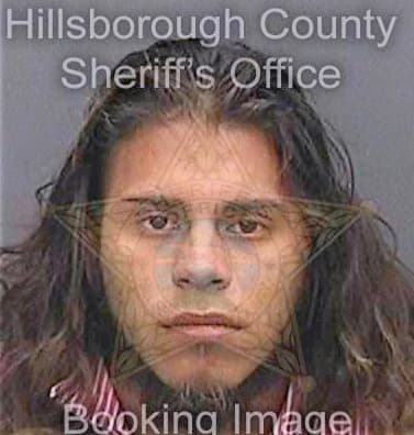 Silver Jesse - Hillsborough County, FL 
