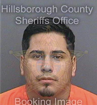 Botello Jesus - Hillsborough County, FL 