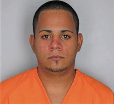 Casianoortiz Wilfredo - Hillsborough County, FL 