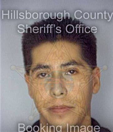 Mendez Villegas - Hillsborough County, FL 