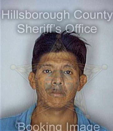 Gonzalez Hido - Hillsborough County, FL 