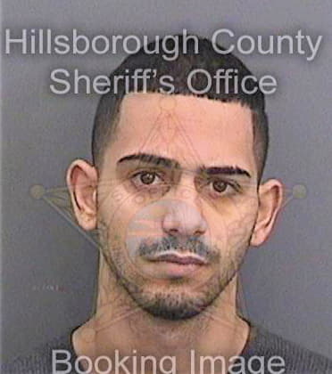 Nunez Olian - Hillsborough County, FL 