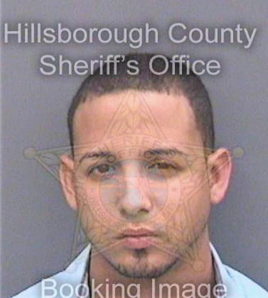 Rayasmontejo Jorge - Hillsborough County, FL 