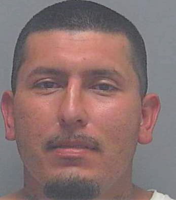 Soliz Isario - Lee County, FL 