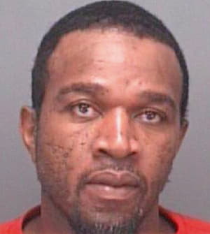 Lewis Gary - Pinellas County, FL 