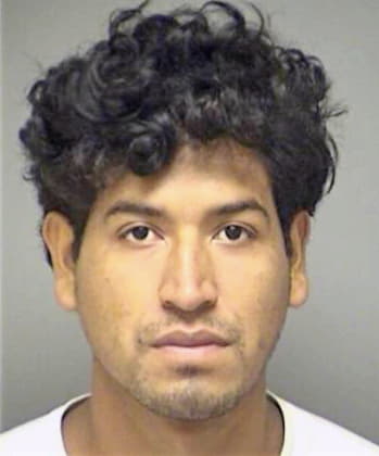 Delasancha-Tinoco Jose - Denton County, TX 