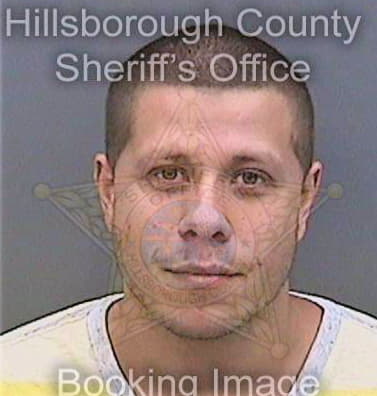 Mendez Raymond - Hillsborough County, FL 