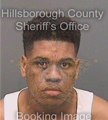 Stewart Markies - Hillsborough County, FL 