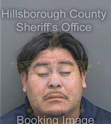 Martinezsilvestre Ernesto - Hillsborough County, FL 