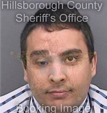 Ricklin Tilak - Hillsborough County, FL 