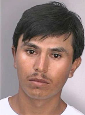 Martinez Juan - Hillsborough County, FL 