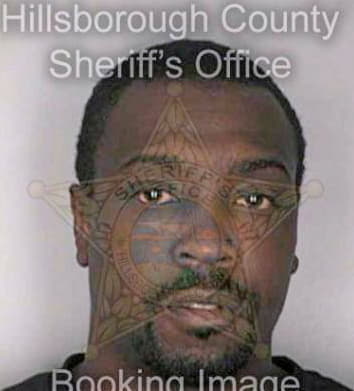 Simmons Michael - Hillsborough County, FL 