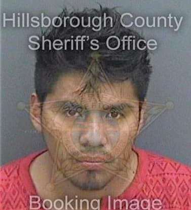 Juarez Antonio - Hillsborough County, FL 