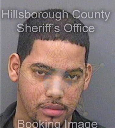 Bradley Robert - Hillsborough County, FL 