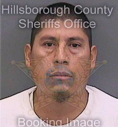 Joseantonio Felix - Hillsborough County, FL 