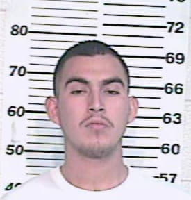 Leija Max - Hidalgo County, TX 