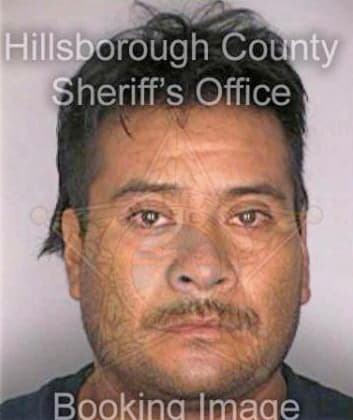 Nino Alejo - Hillsborough County, FL 