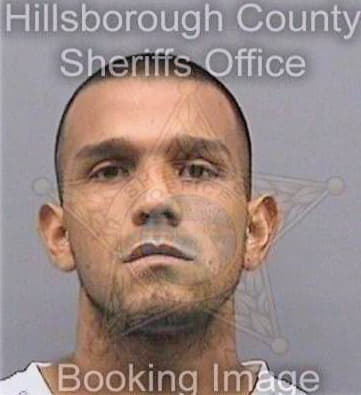 Gonzalez Jorge - Hillsborough County, FL 