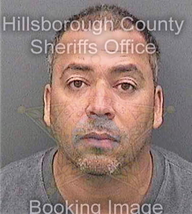 Sostre David - Hillsborough County, FL 