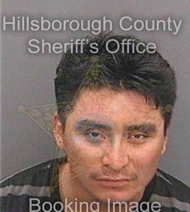 Perezgomez Manuel - Hillsborough County, FL 